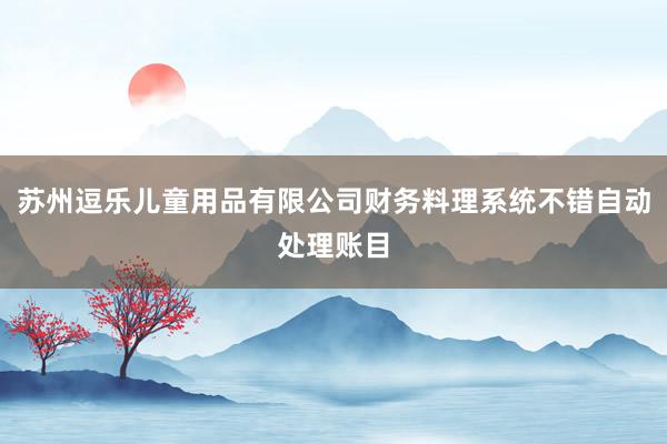 苏州逗乐儿童用品有限公司财务料理系统不错自动处理账目